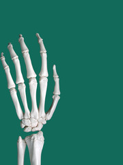 skeleton hand on green background