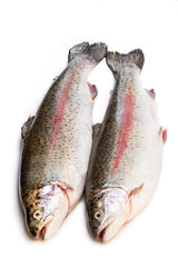 Fresh raw rainbow trout fish isolated on white