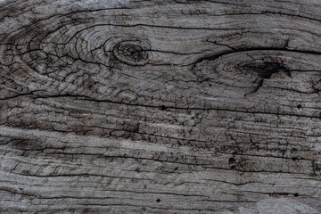 close up of abstract wooden texture, Wood texture background, Brown wood texture. Abstract wood texture background.