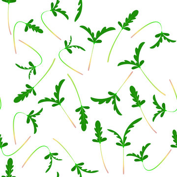 Microgreens Shungiku. Sprouting seeds of a plant. Seamless pattern. Vitamin supplement, vegan food.