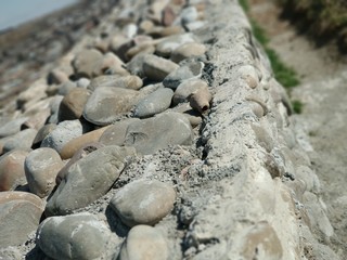 stones on the ground
