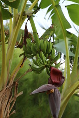 Obraz premium paysage en Espagne ville de Roda de Barà 