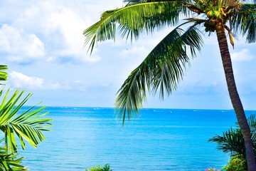 tropical seascape and beach with palm trees