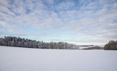 winter landscape on a cold day