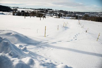 ski resort in winter