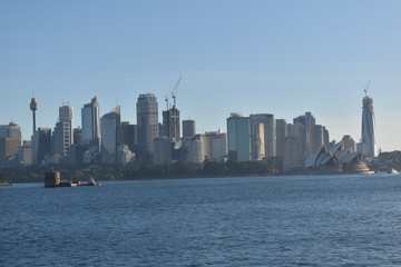 Naklejka premium sidney city