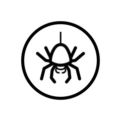 Spider. Outline icon in a circle. Animal vector illustration