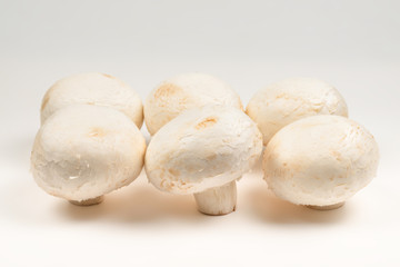 Champignon mushroom isolated on white background.