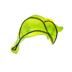 juicy green bright leaf of fruit tree