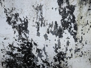 Abstract texture of old cement wall that has been peeled off of paint. good for background or wallpaper