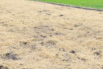 Straw lies on a plowed field ready for planting