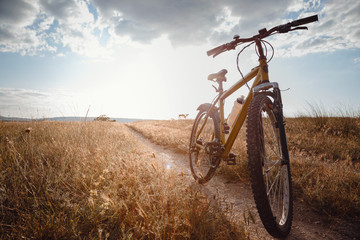 Fototapeta na wymiar bike silhouette at the sunset dirt road in the countryside
