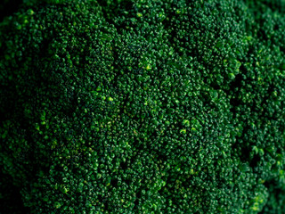 Texture Fresh broccoli in closeup