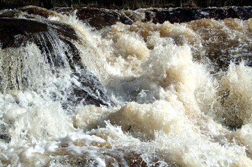 Powerful whitewater with golden shadows.