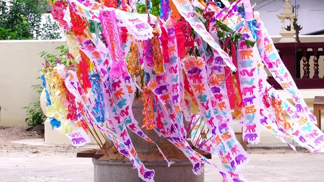Tung Lanna flags (Paper flags have 12 animal image) Pin in sand pile in Songkran festival, Thailand