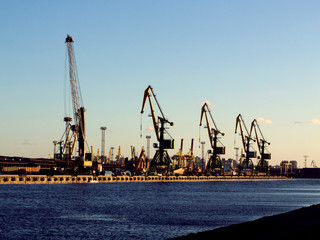cranes in cargo port