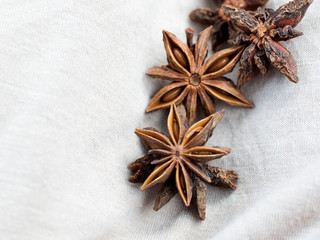 Star anise spice fruits and seeds on light background closeup seasons for coffee and desserts