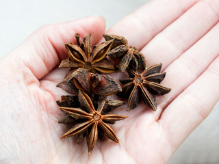 Star anise spice fruits and seeds on light background closeup seasons for coffee and desserts