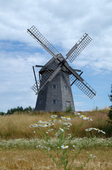 Fototapeta na wymiar Beautiful windmill with daisy flowers in foreground. The swedish name of the mill is Riddaregårdens kvarn Kållandsö,