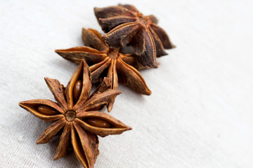 Star anise spice fruits and seeds on light background closeup seasons for coffee and desserts