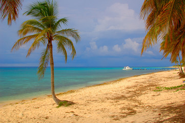 Tropical beach with palm trees and turquoise water. Maria la Gorda, Cuba.