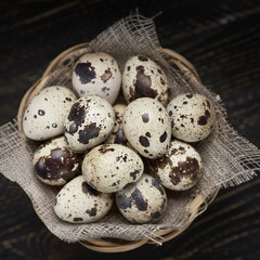 Obraz premium Wicker basket canvas napkin filled with eggs of quails on wooden table.
