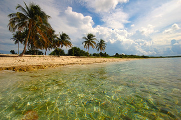 Tropical beach with palm trees and turquoise water. Maria la Gorda, Cuba.