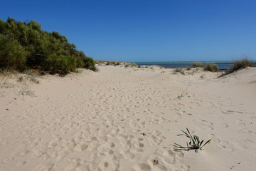 Cadiz. Camino a la playa