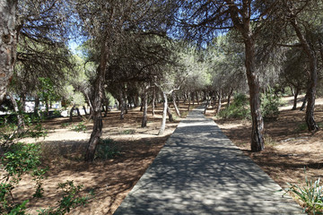 Cádiz. Camino junto al mar.