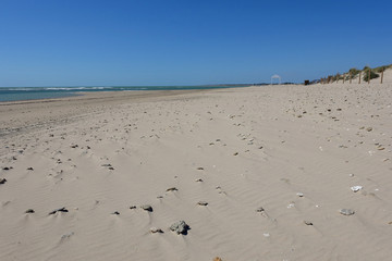 Playa de Cádiz. Rota
