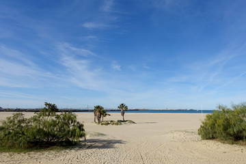 Playa de Cádiz. Vistas a la Bahía