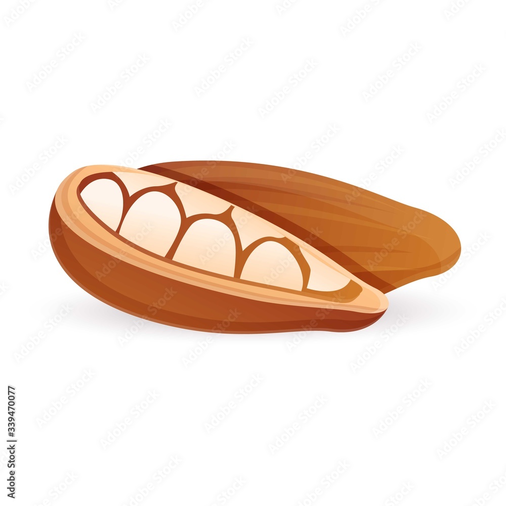 Poster cocoa fruit icon. cartoon of cocoa fruit vector icon for web design isolated on white background