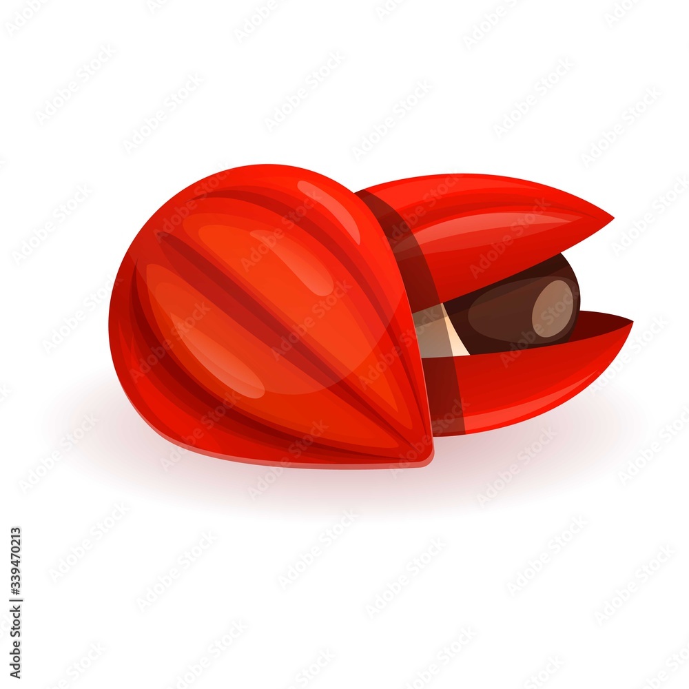 Poster macadamia icon. cartoon of macadamia vector icon for web design isolated on white background