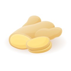 Ginger icon. Cartoon of ginger vector icon for web design isolated on white background