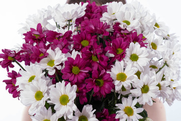 beautiful bouquet of white and red chrysanthemums close