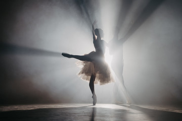 Graceful ballerina and her male partner dancing elements of classical or modern ballet in dark with...