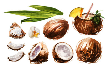 Сoconut. Hand drawing-watercolor. It can be used for postcards, stickers, encyclopedias, menus, ingredients of dishes.