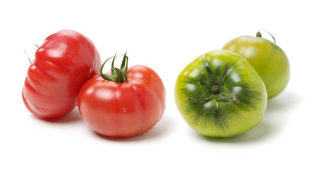 fresh tomato isolated on white background