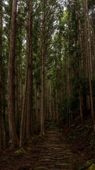 Trail towards Yunomine Onsen. Kumano Kodo is a Unesco World Heritage site ancient pilgrimage route in Japan