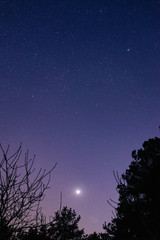 Night sky with stars and Venus planet shining bright.