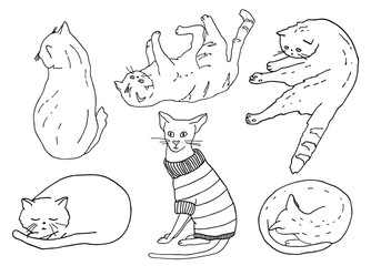 Outline cats in different poses set. Kitten in sweater, sitting, playing, sleeping. Hand drawn contour vector illustration for coloring book, decor, card, banner, cattery, veterinary, pet shop, print