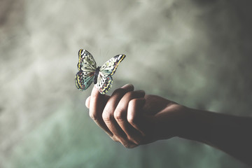a butterfly leans on a woman's hand