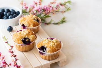 Delicious fresh muffins with blueberries. Spring light still life with sprigs of pink flowers. Beautiful screensaver of sweet food with copy space on right.