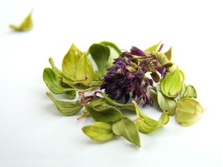 Dried thyme leaves with flower