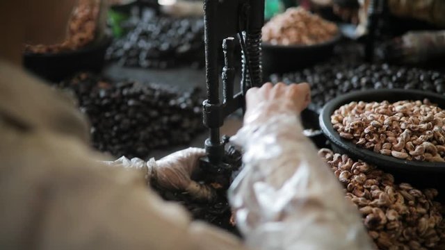 Burmese factory workers producing handmade cashews