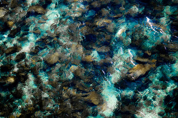 Pictoric water
