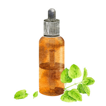 Watercolor dropper bottle with pepermint oil.