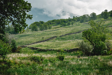 Fototapeta na wymiar Schottland Highlands wiese glen kinglas