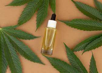 Glass bottle with CBD oil, THC tincture and hemp leaves on a color background. Flat lay, minimalism. Cosmetics CBD oil. Medical Cannabis Marijuana oil.
