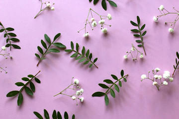 Fototapeta na wymiar flowers and leaves on pastel pink violet background. spring concept